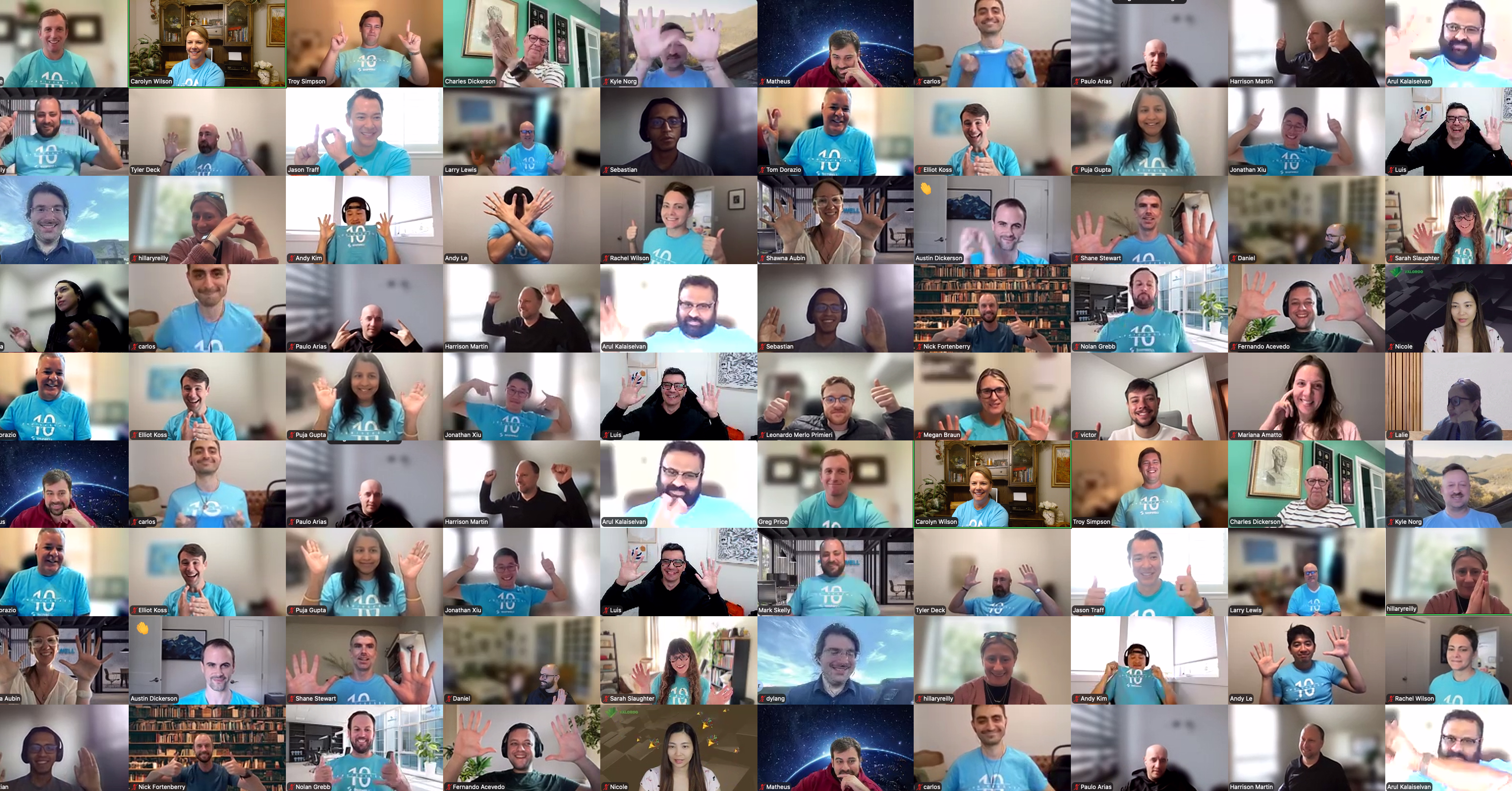 Zoom screenshot of the people of Shipwell