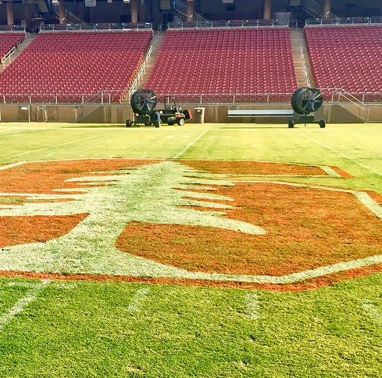 Close-up of Stanford football field logo with TurfBreeze fans used for professional turfgrass maintenance