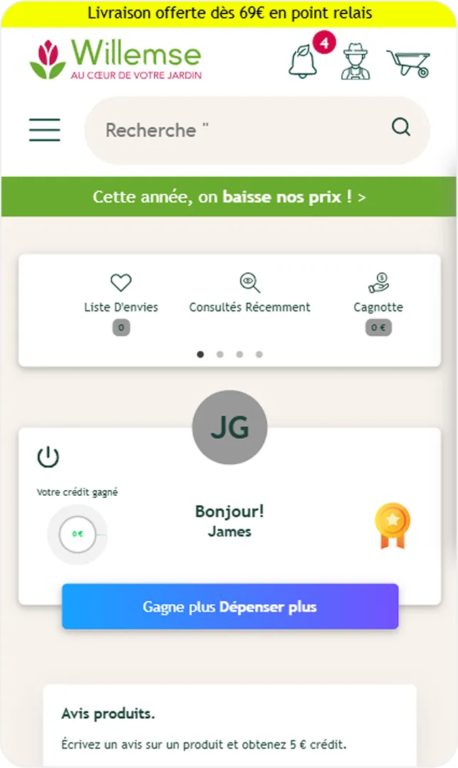 willemess website image