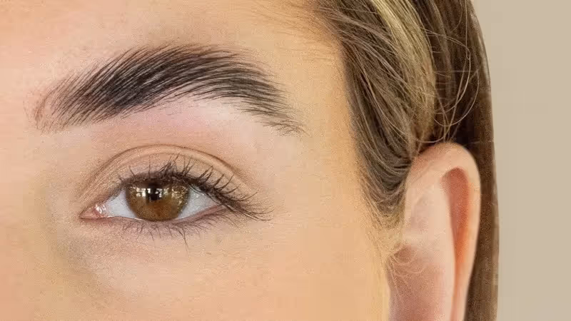 Brows after brow lamination and tinting