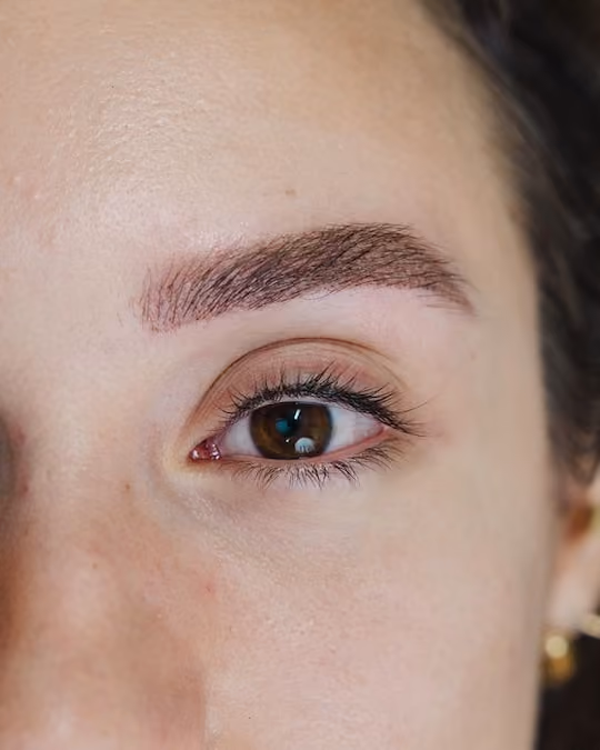 Soft and defined ombre brows by Brau artist