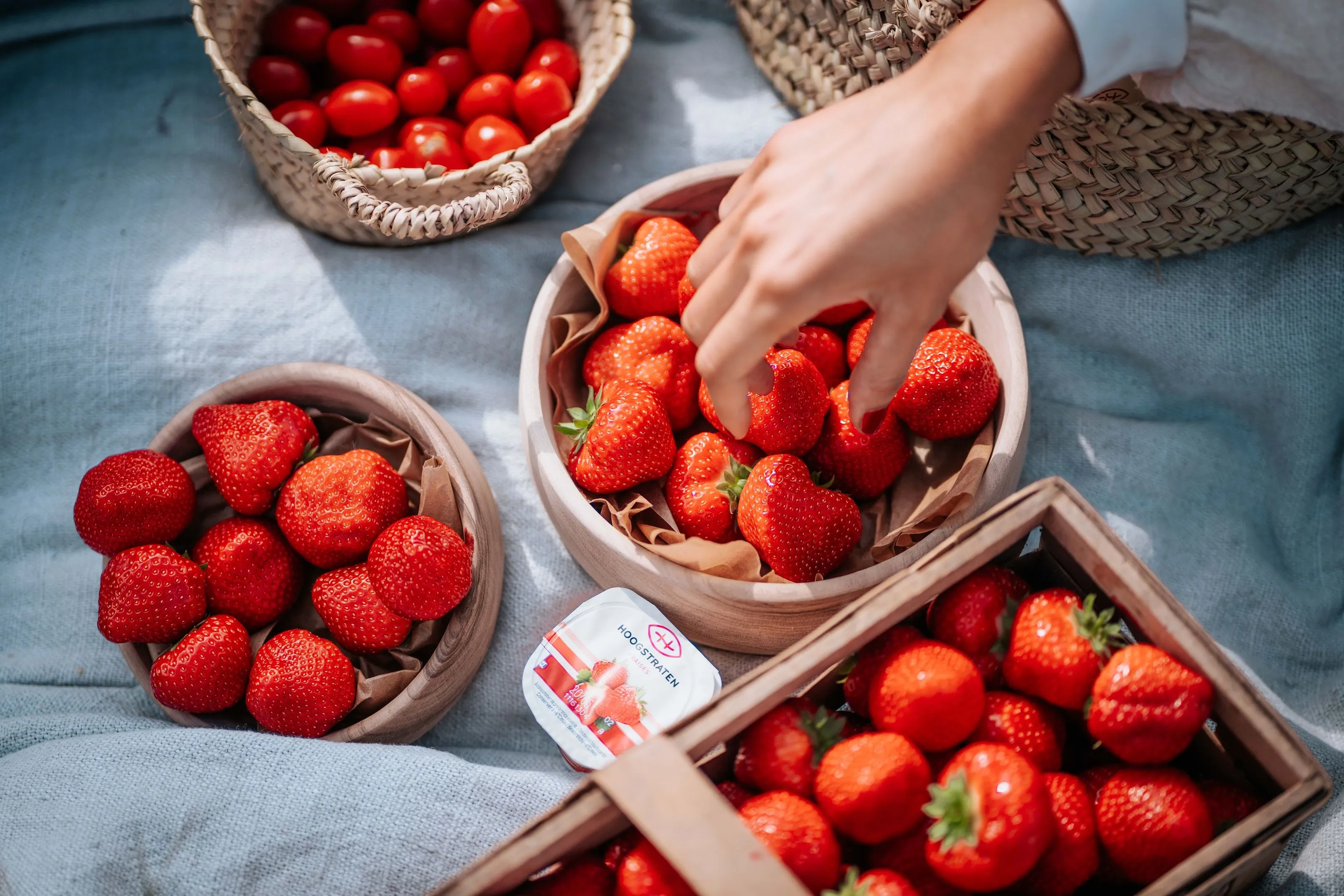 Coöperatie Hoogstraten aardbeien shoot