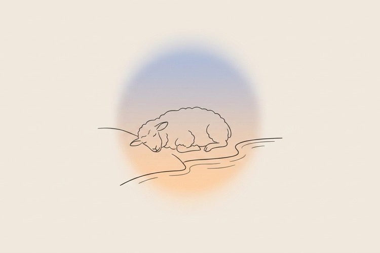 Sheep resting beside a stream thumbnail for healing prayers