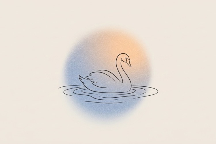Swan gliding on still water symbolizing calm and rest
