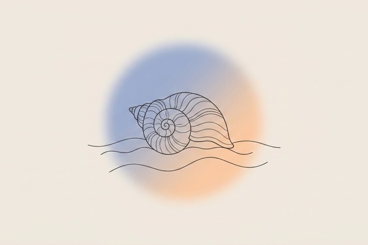 Seashell on sand symbolizing gratitude and thankfulness