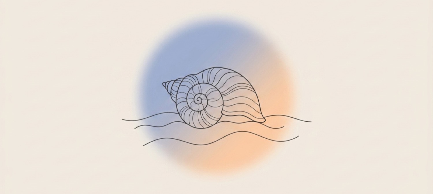 Seashell resting on soft sand, a quiet picture of gratitude