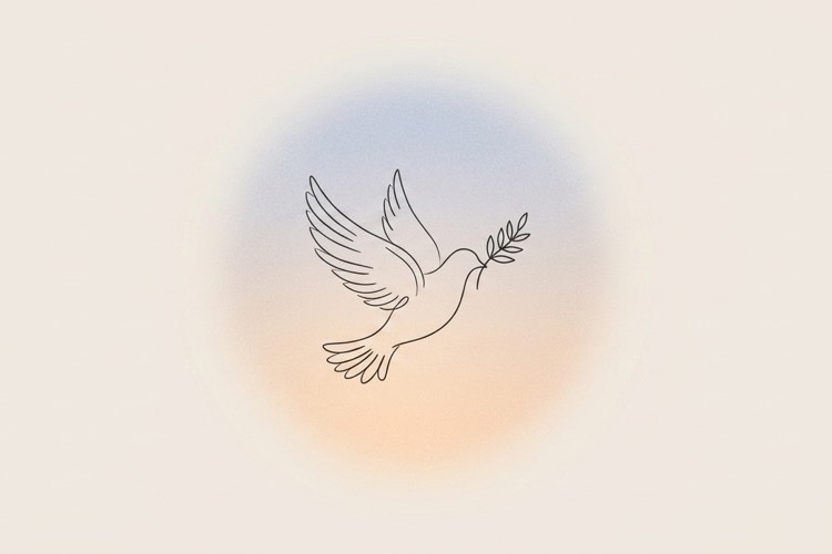 Line art illustration of a dove carrying an olive branch