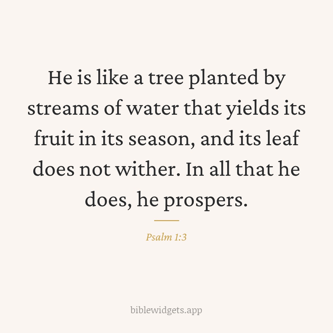 He is like a tree planted by streams of water that yields its fruit in its season, and its leaf does not wither. In all that he does, he prospers. — Psalm 1:3