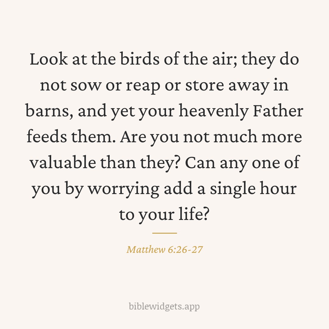 Look at the birds of the air; they do not sow or reap or store away in barns, and yet your heavenly Father feeds them. Are you not much more valuable than they? Can any one of you by worrying add a single hour to your life? — Matthew 6:26-27