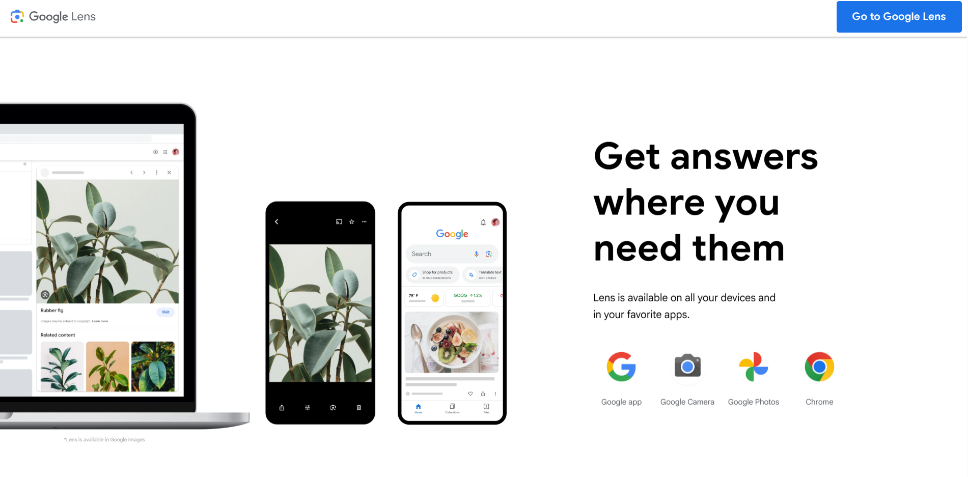 Google Lens homepage showing plant image search across laptop and mobile devices with apps including Google, Camera, Photos, and Chrome.