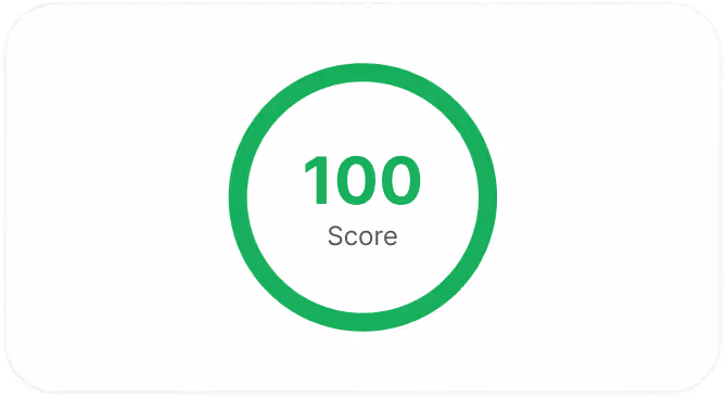Green circular progress indicator showing a perfect score of 100.