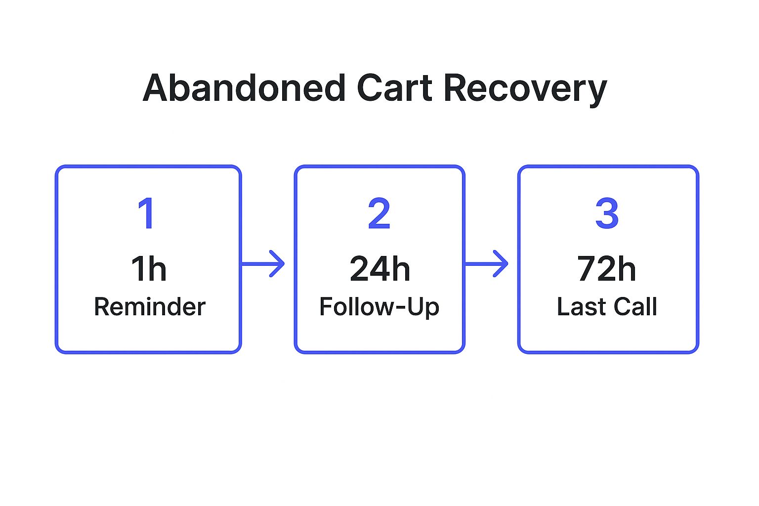 Infographic showing key data about Abandoned Cart Recovery Emails