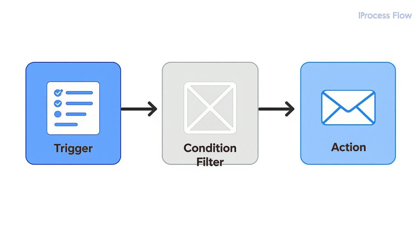 Infographic about digital marketing automation