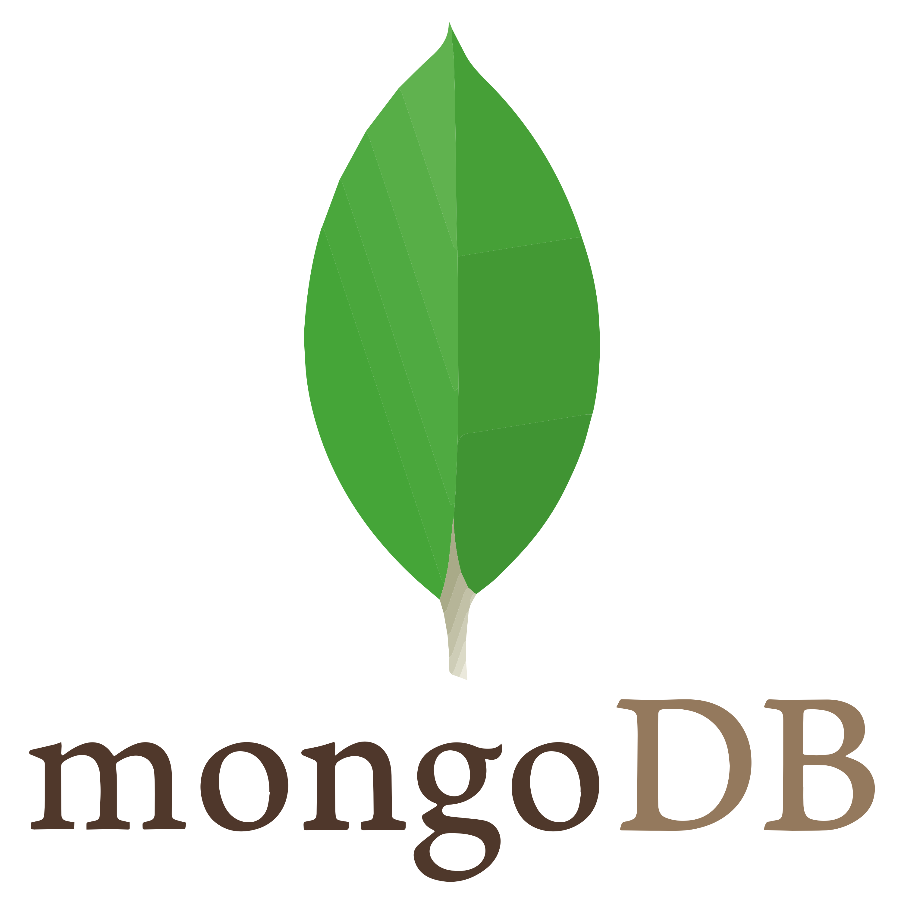 Wordpress Icon
