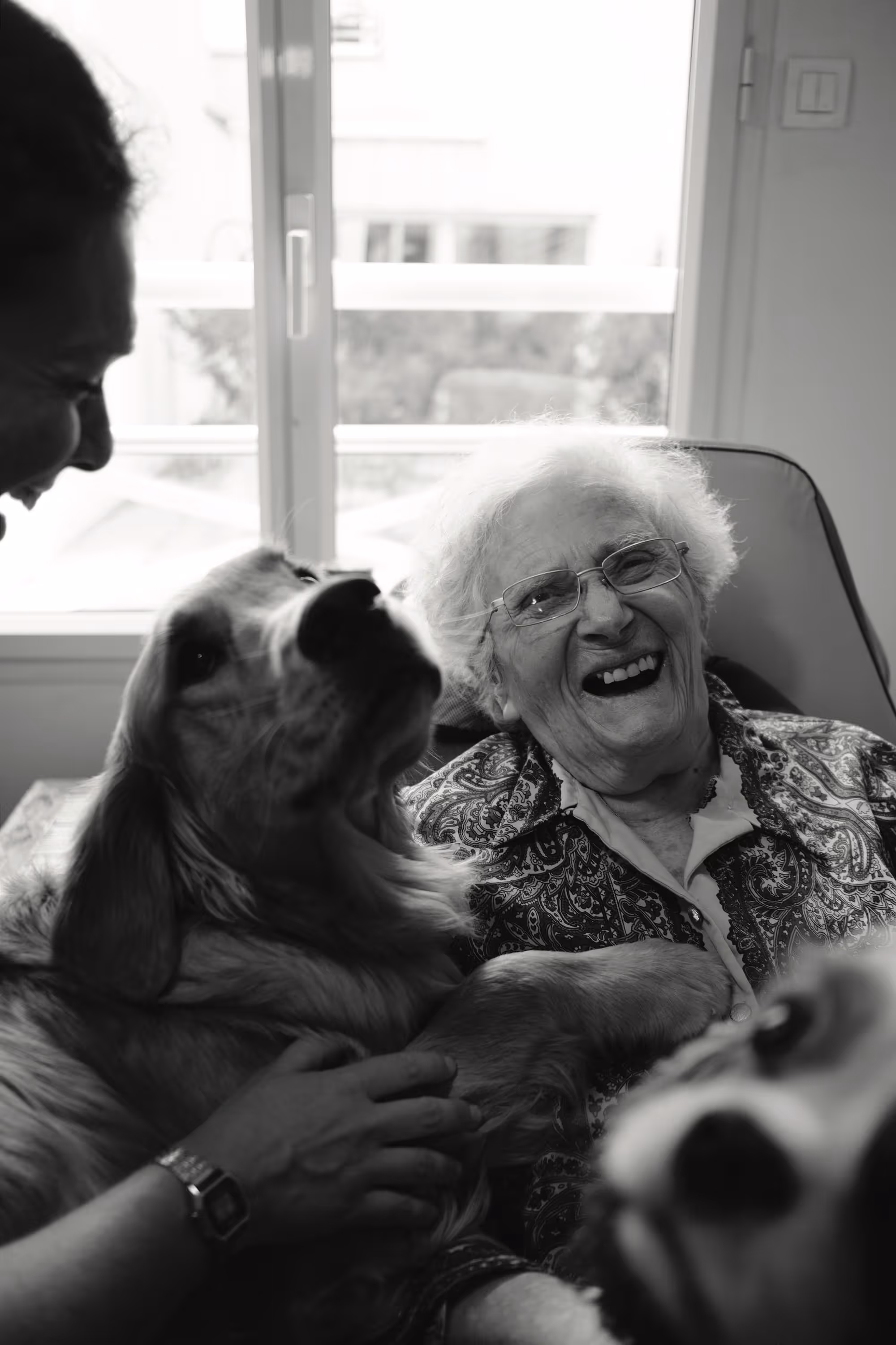 Femme âgée éclatant de rire, entourée de deux chiens et de mains caressantes, ambiance joyeuse.