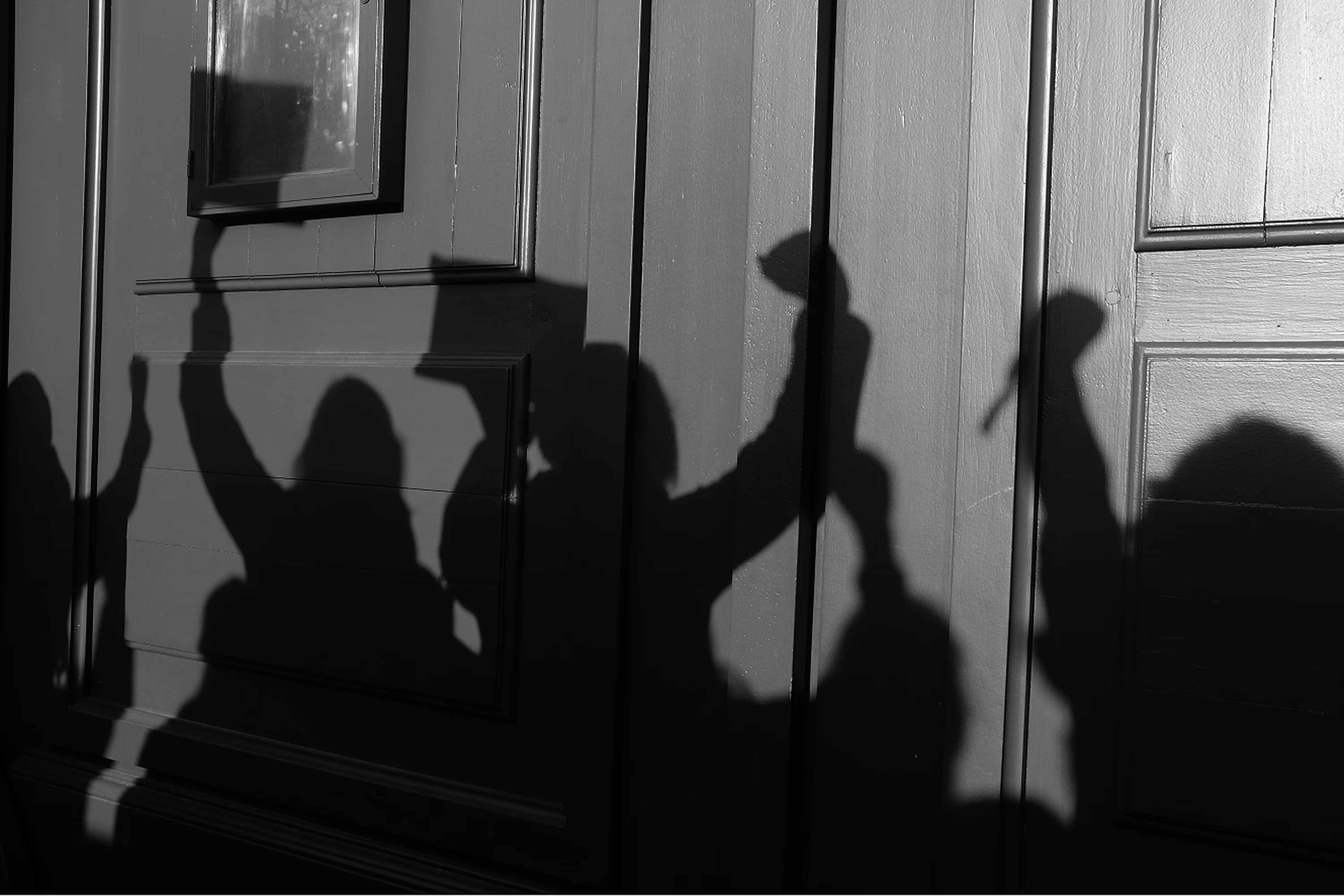 Ombres de manifestants brandissant des pancartes et levant le poing sur une porte en bois.