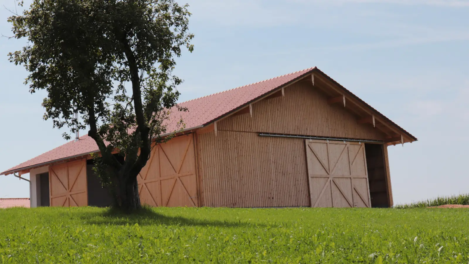 Eine große Lagerhalle aus Holz mit rotem Dach steht auf einer grasbewachsenen Wiese. Im Vordergrund steht ein belaubter Baum unter einem blauen Himmel.