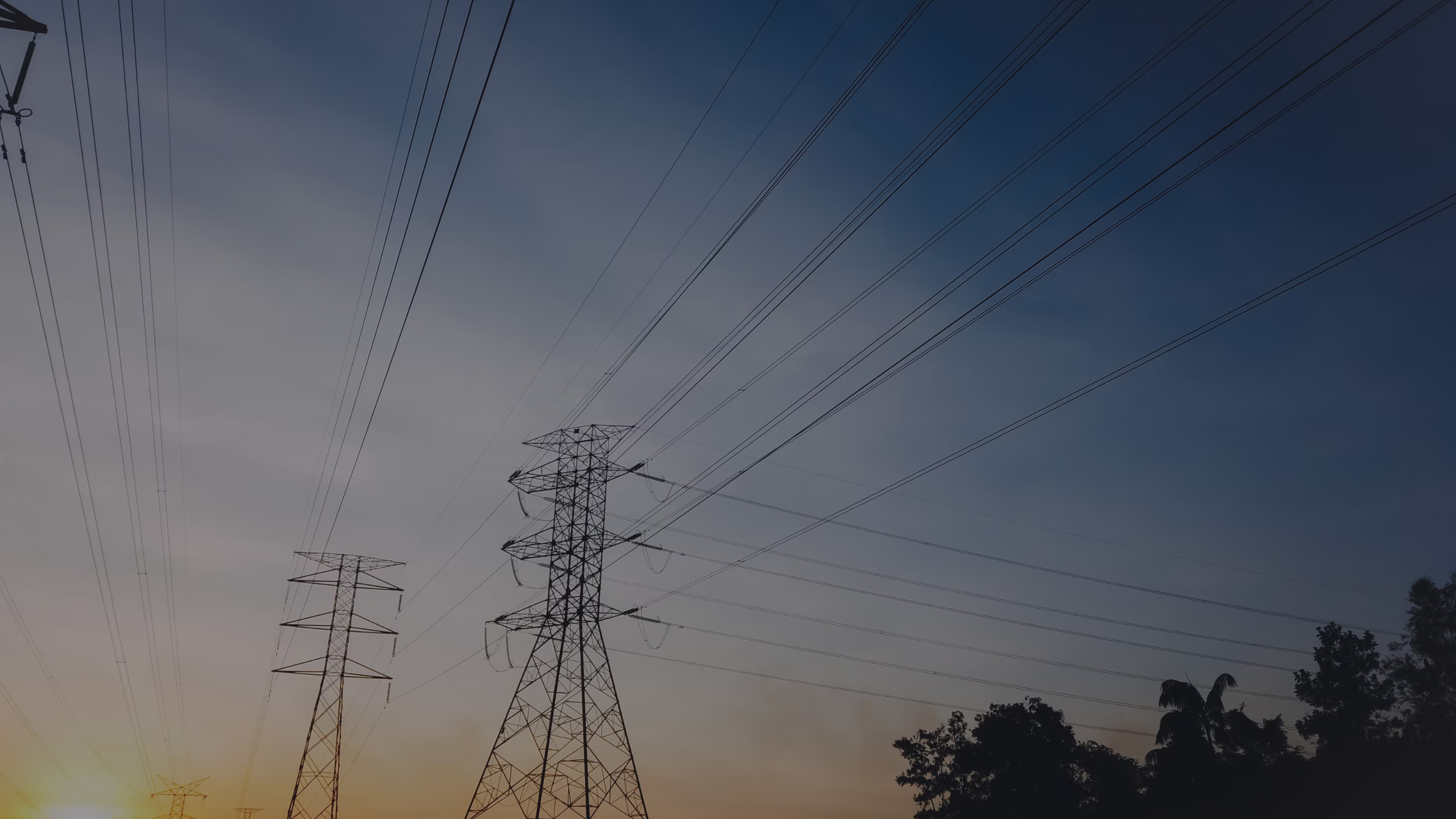 Power lines on a night sky