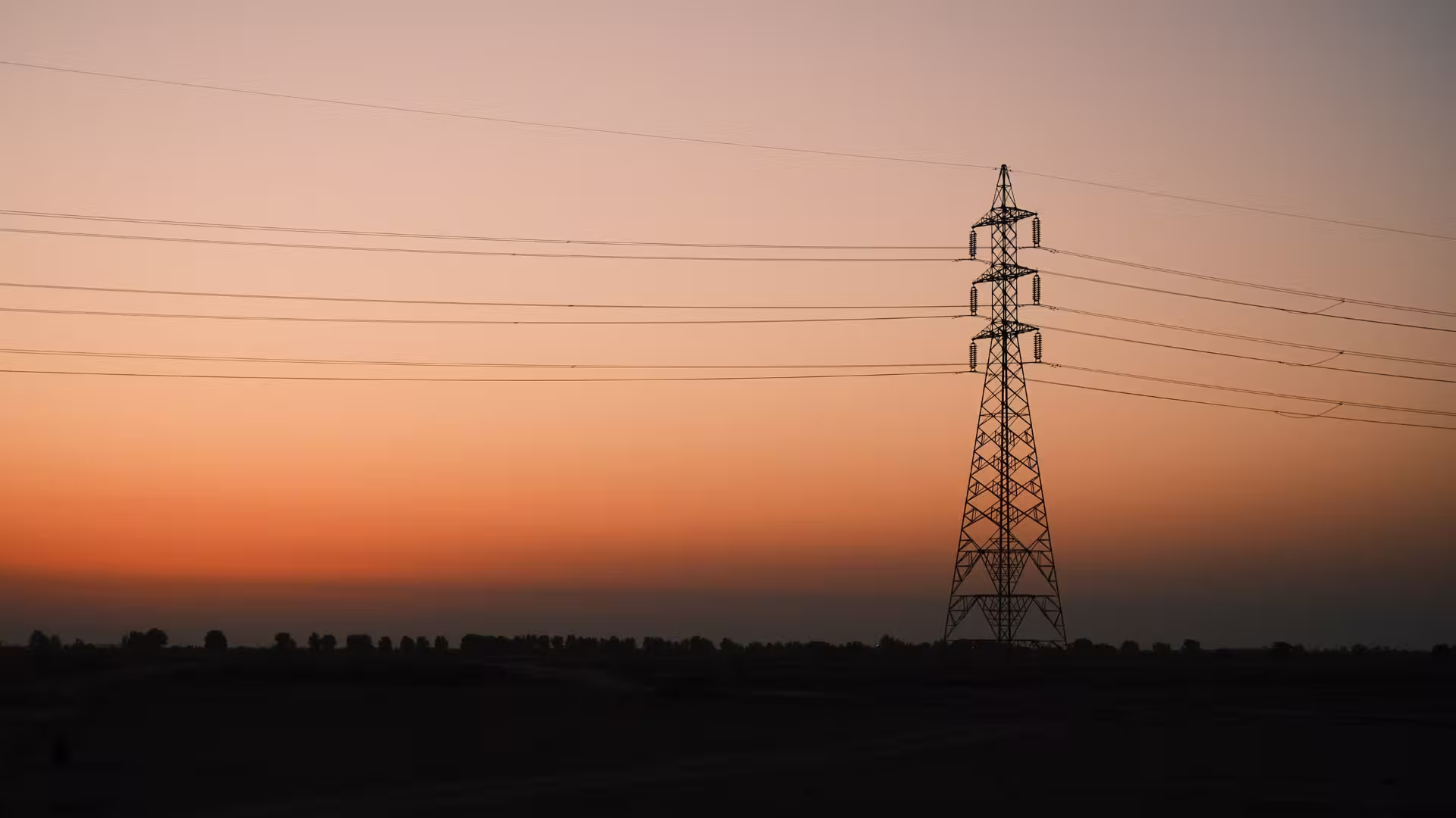 Power lines on a night sky