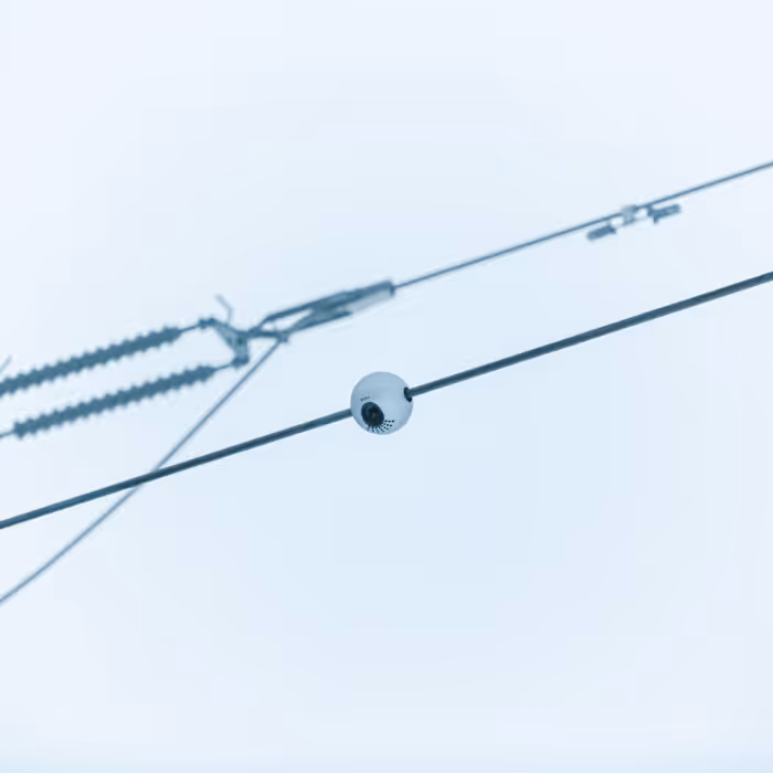 Heimdall Power Neuron on power line