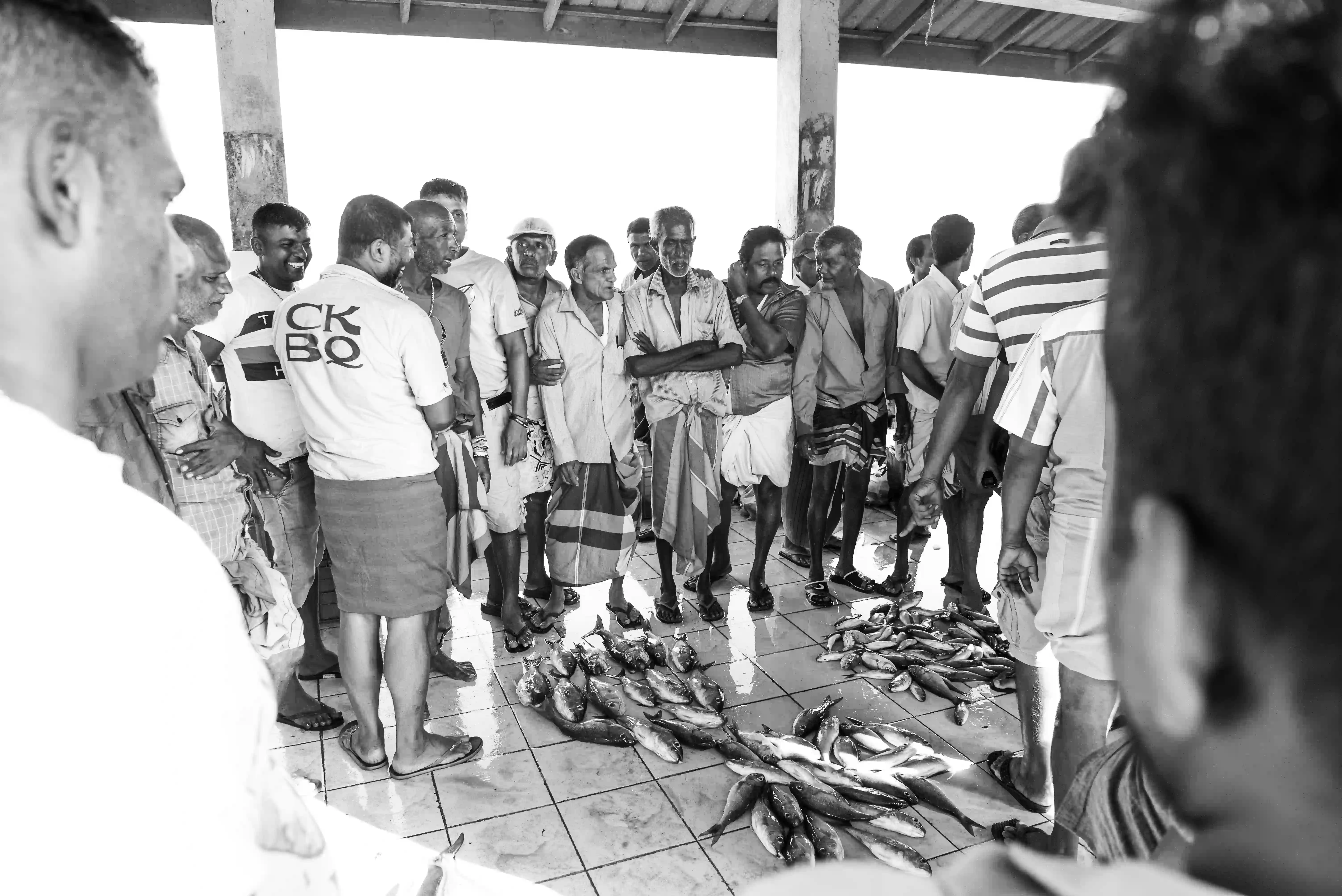Fischmarkt Srilanka