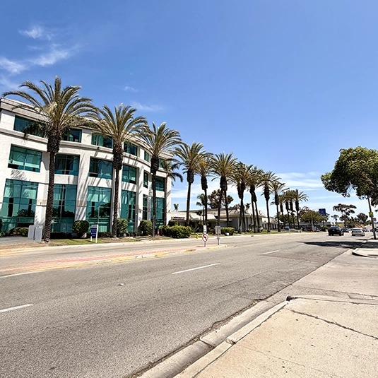 Street view of the 855 Third Avenue office building featuring curved architecture, mirrored windows, and a row of palm trees along the road.