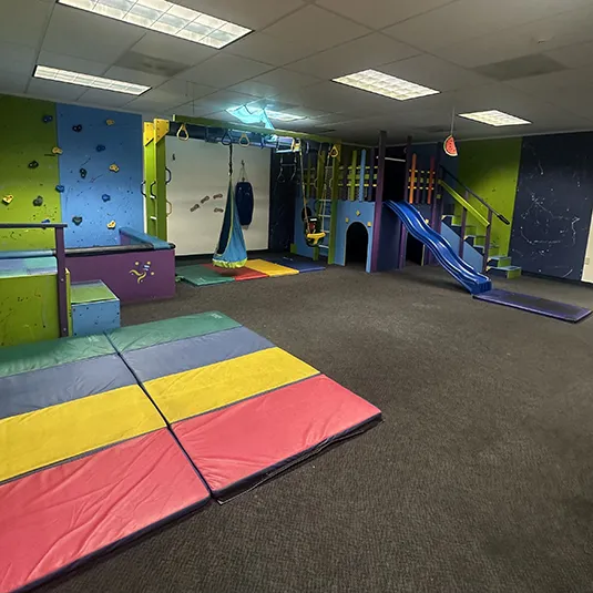 Indoor sensory gym with a climbing wall, suspended swings and platform, a slide, and colorful padded floor mats for motor and play-based therapy.
