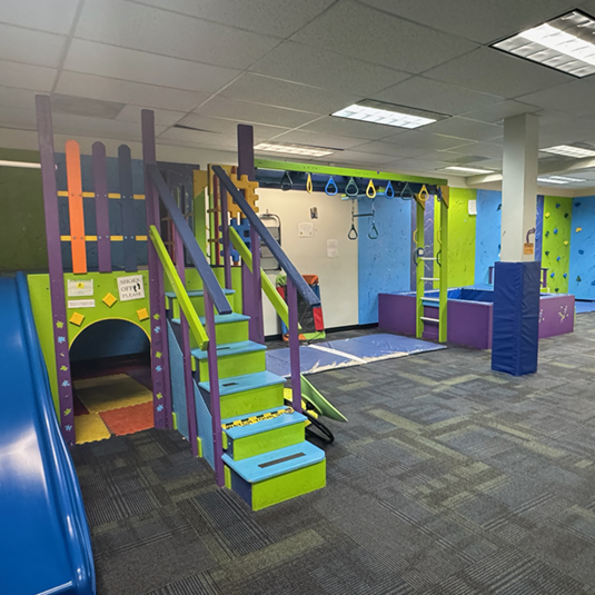Indoor motor gym with a wooden play structure, slide, hanging rings, climbing wall, and foam mats for gross motor therapy.
