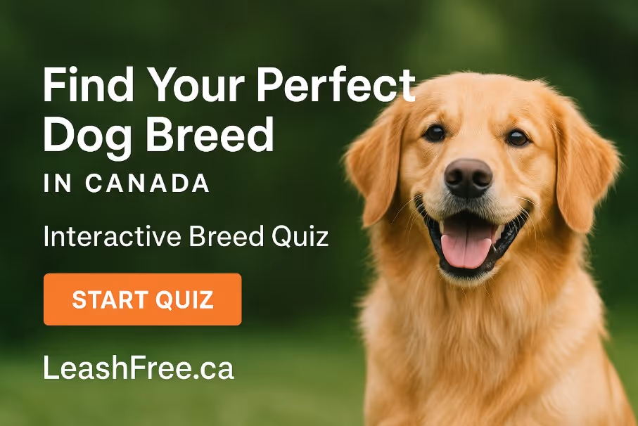 Golden Retriever sitting on green grass beside text promoting LeashFree.ca’s interactive quiz to find your perfect dog breed in Canada.