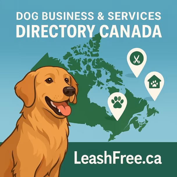 Happy golden retriever in front of a stylized map of Canada with pet service icons representing groomers, trainers, veterinarians, and shelters, in LeashFree.ca brand colors.