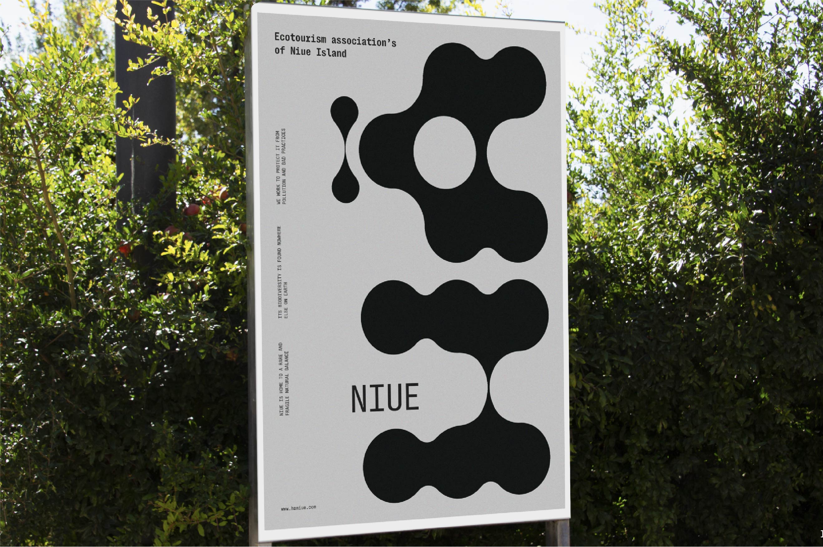Progetto HaNiue - Poster pubblicitario legato a questa associazione