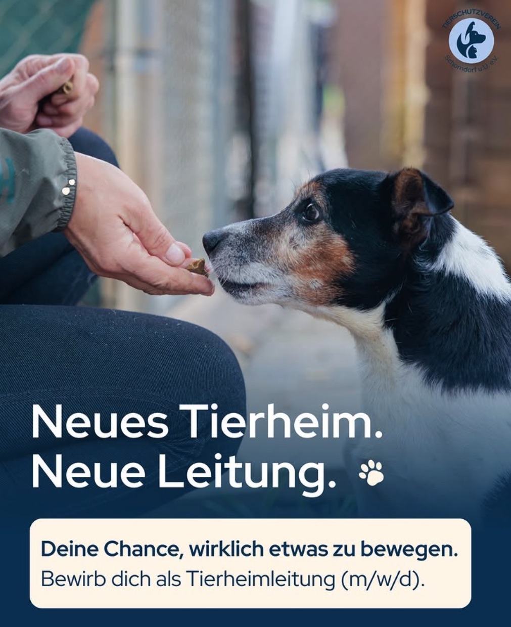 Social Media Beitrag: Tierheimleitung