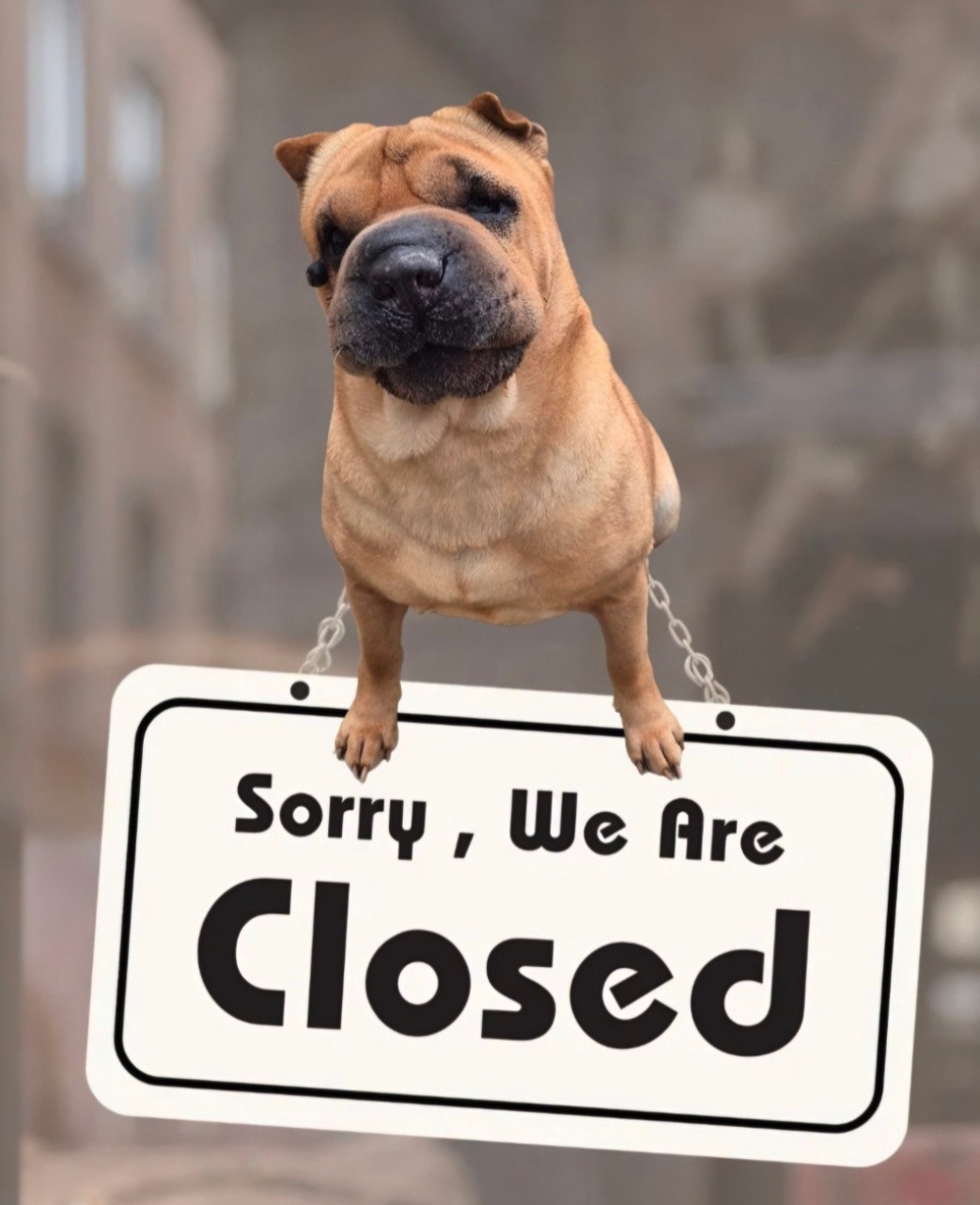 Social Media Beitrag: 26.3.26 geschlosen