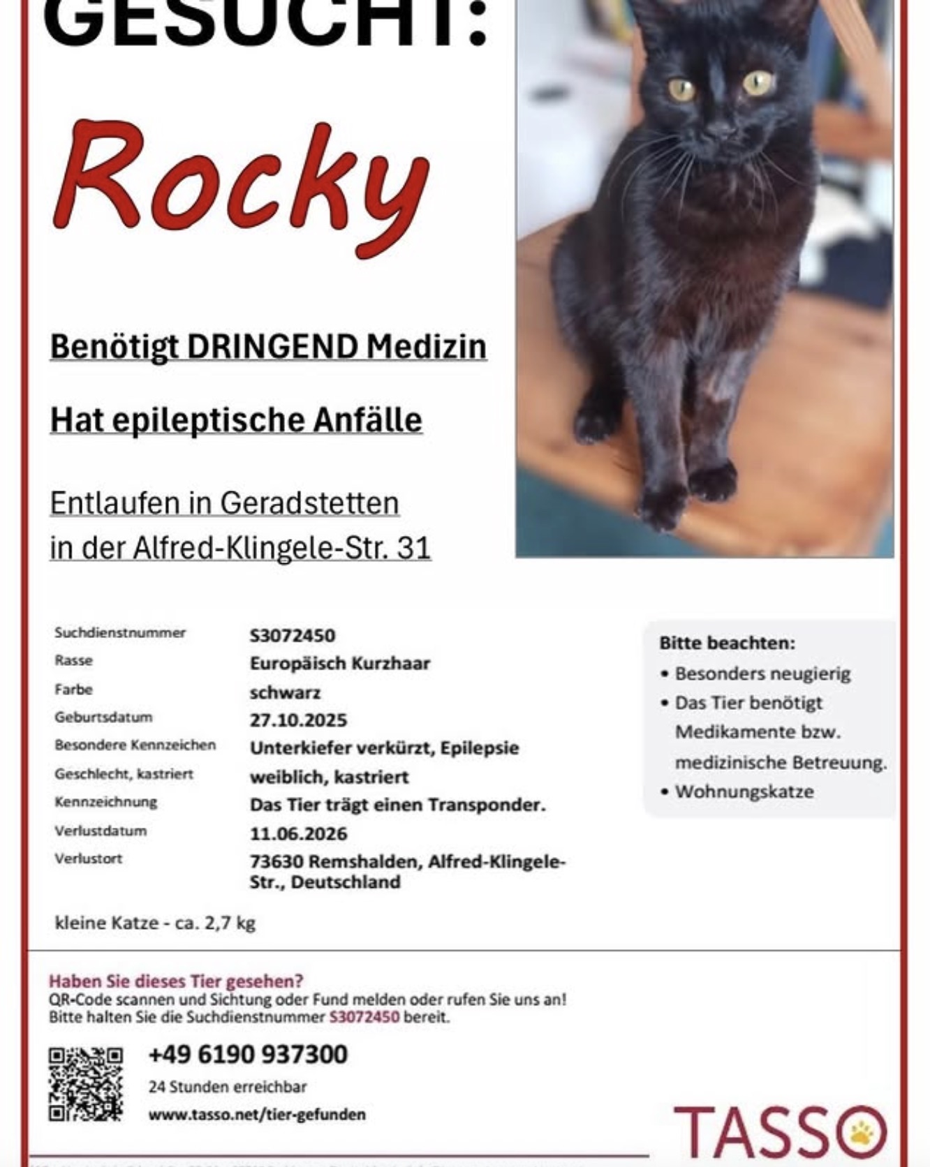 Social Media Beitrag: Rocky gesucht