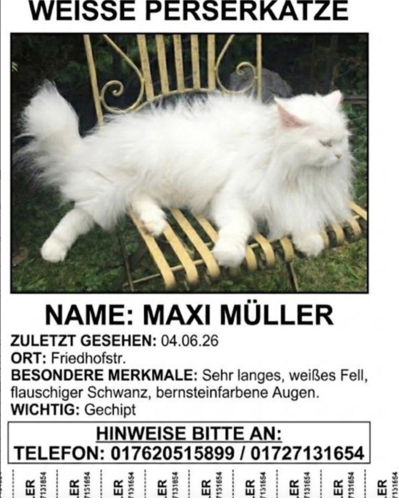Social Media Beitrag: Maxi ist zuhause