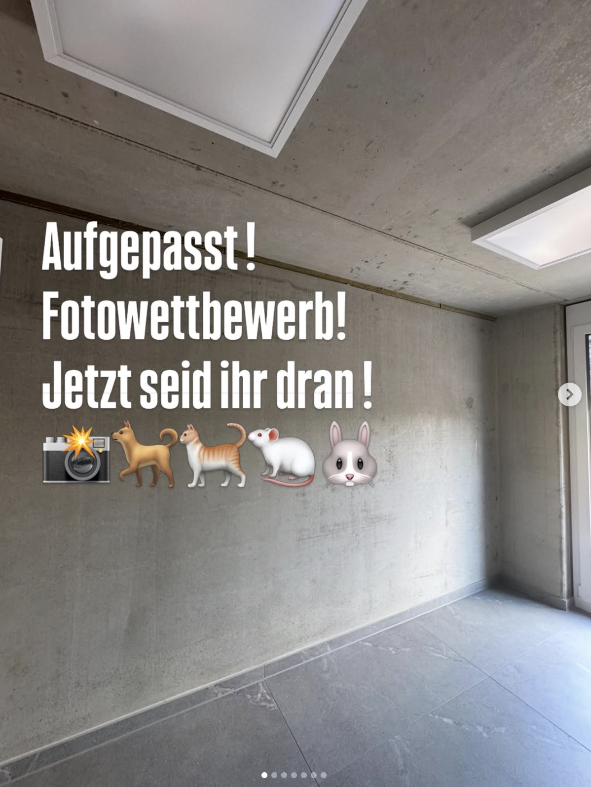 Social Media Beitrag: Fotowettbewerb
