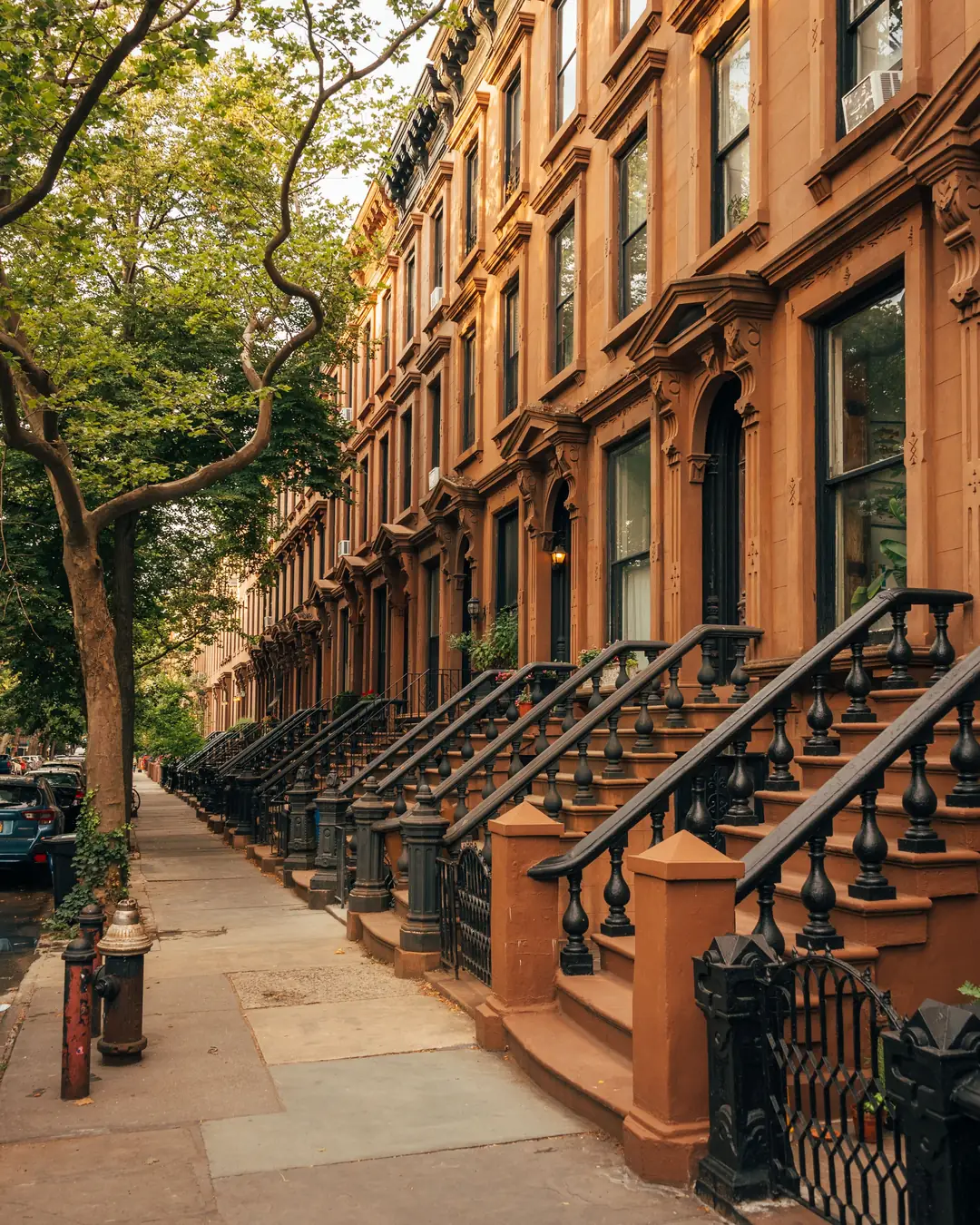 Tree-lined block of brownstones with stoops in Cobble Hill, Brooklyn