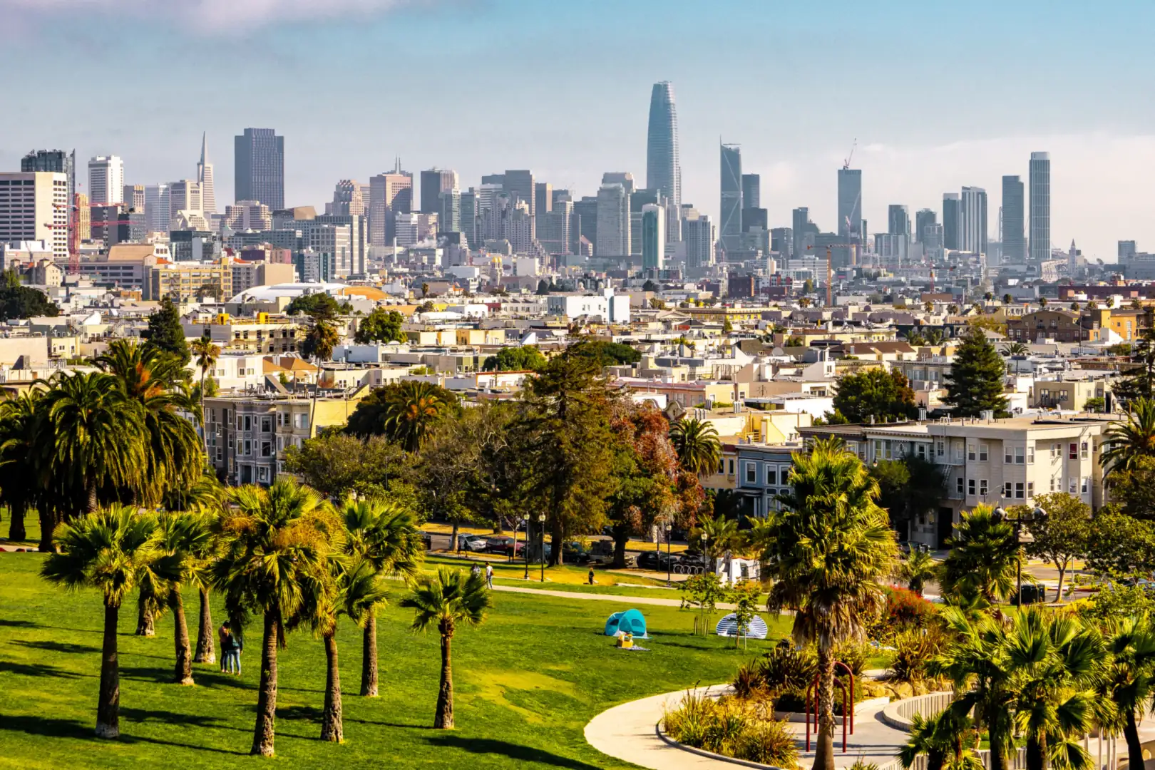 Palm trees in Mission Dolores Park with the San Francisco skyline behind