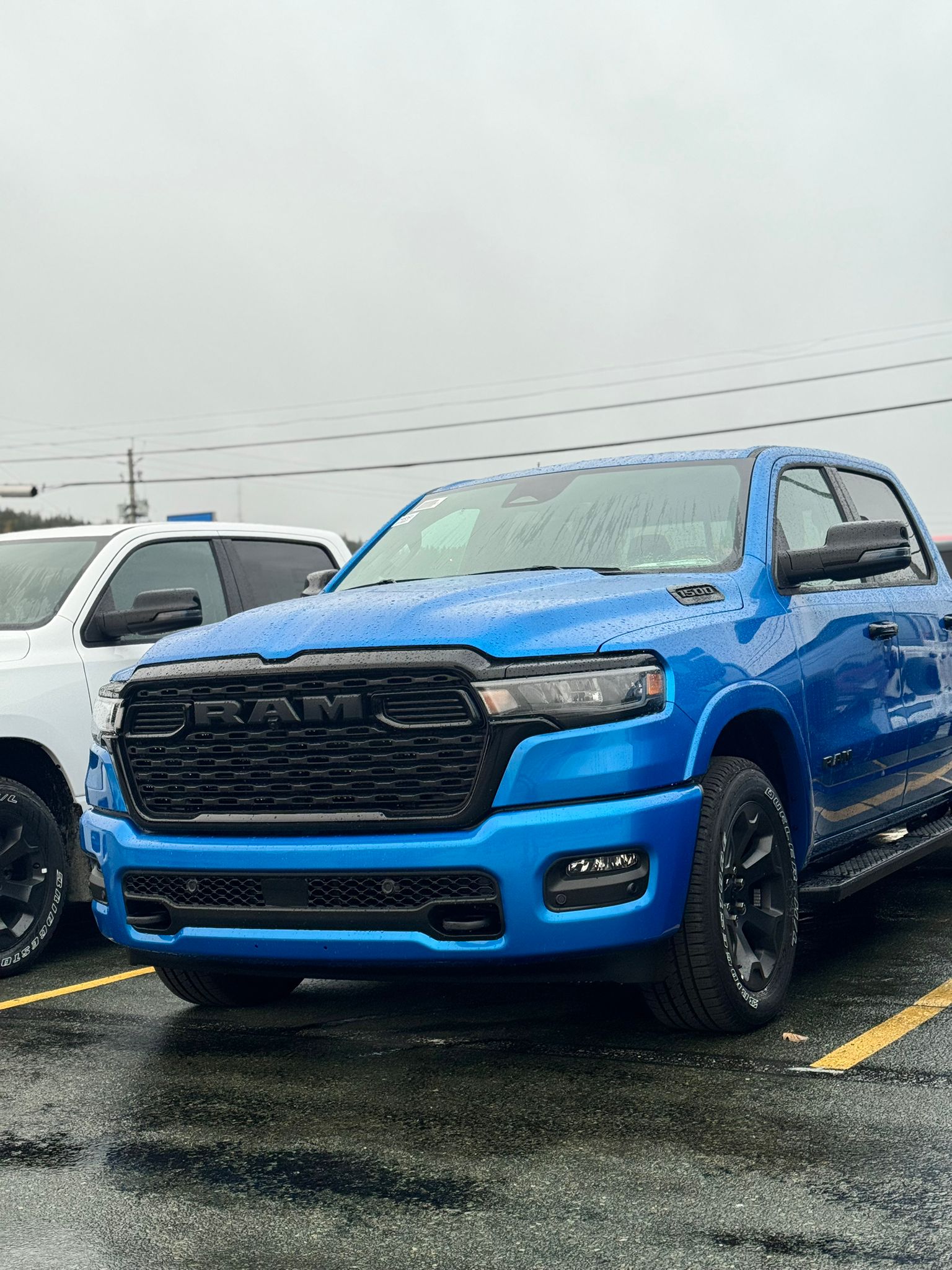 Personal Image of a member from Flow Ninja.