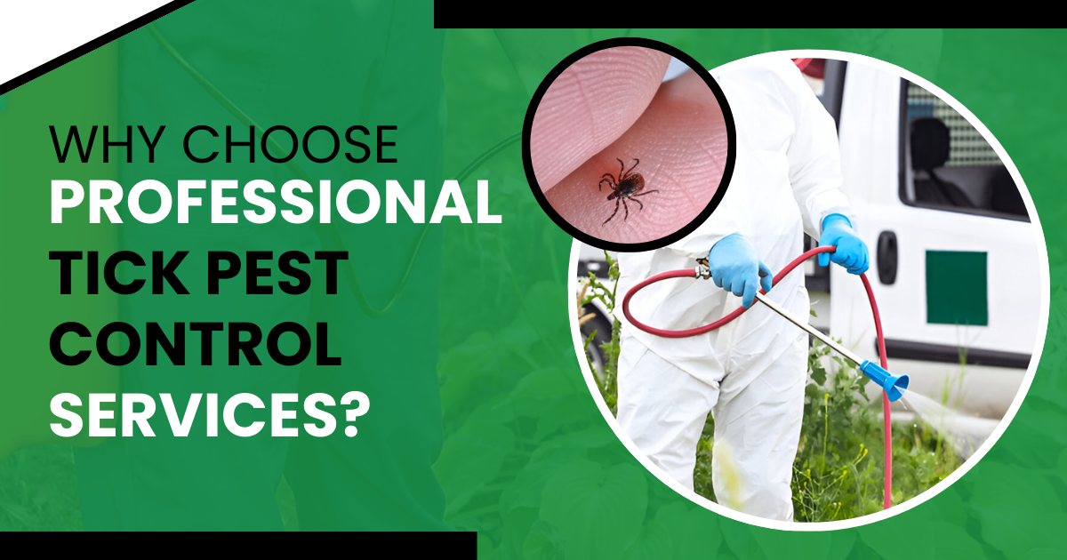 Why Choose Professional Tick Pest Control Services?