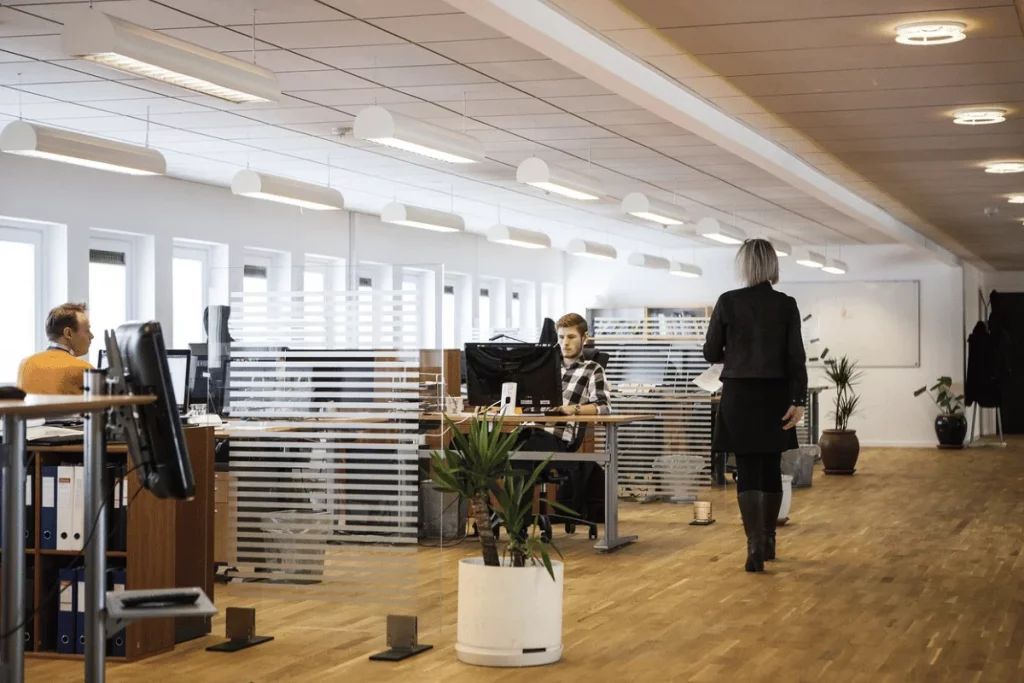 Modern open-plan office with natural lighting and employees on computers.