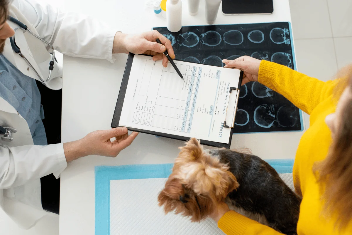 A veterinarian discusses a medical chart with a person in a yellow sweater, while a small dog sits comfortably.