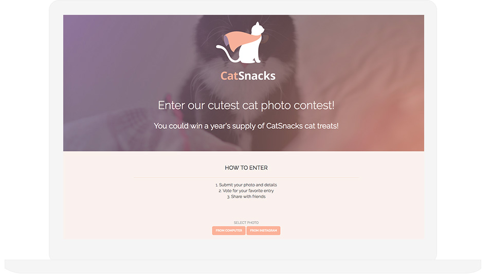 Photo Contest Template