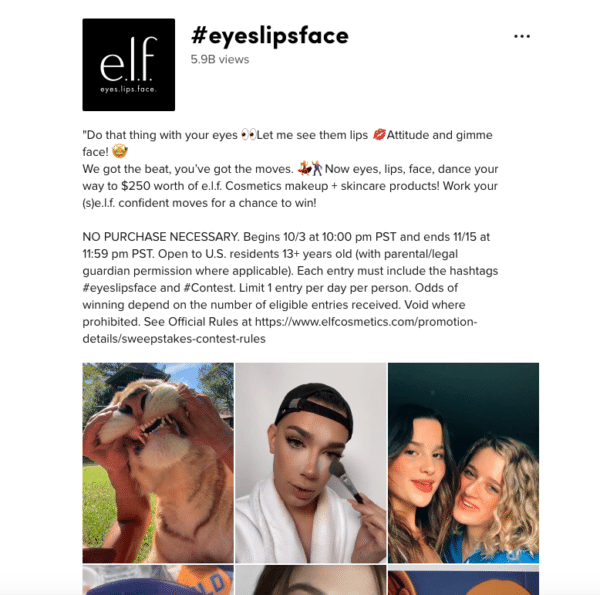 Eyes Lips Face ELF TikTok Contest