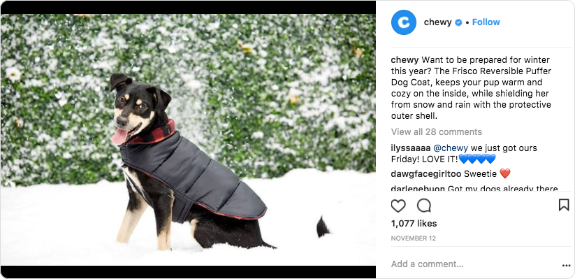 Chewy Strong post