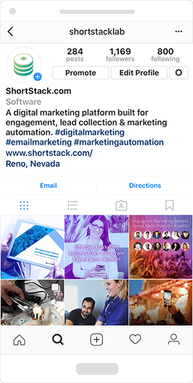 Instagram Profile Link