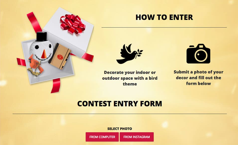 Perky Pet Photo Contest