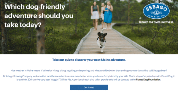 Contest Marketing Example - Dog Adventure