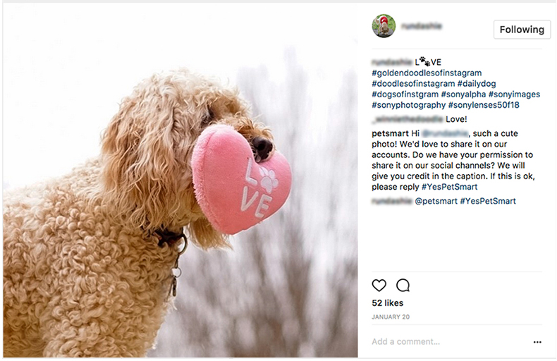 Petsmart UGC post