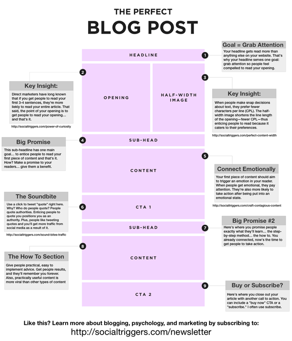 anatomyperfectblogpost